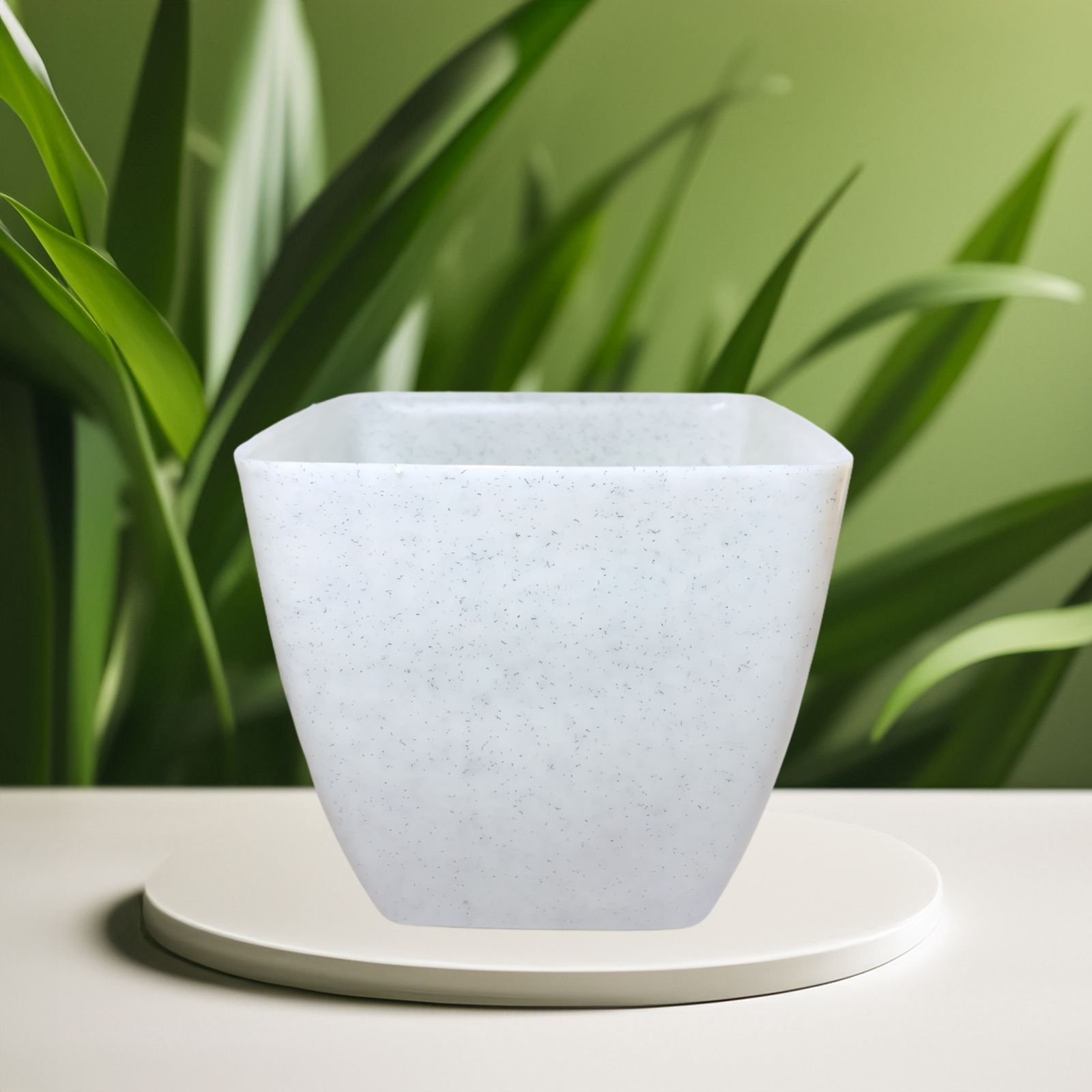 Square Pot 8 Inch